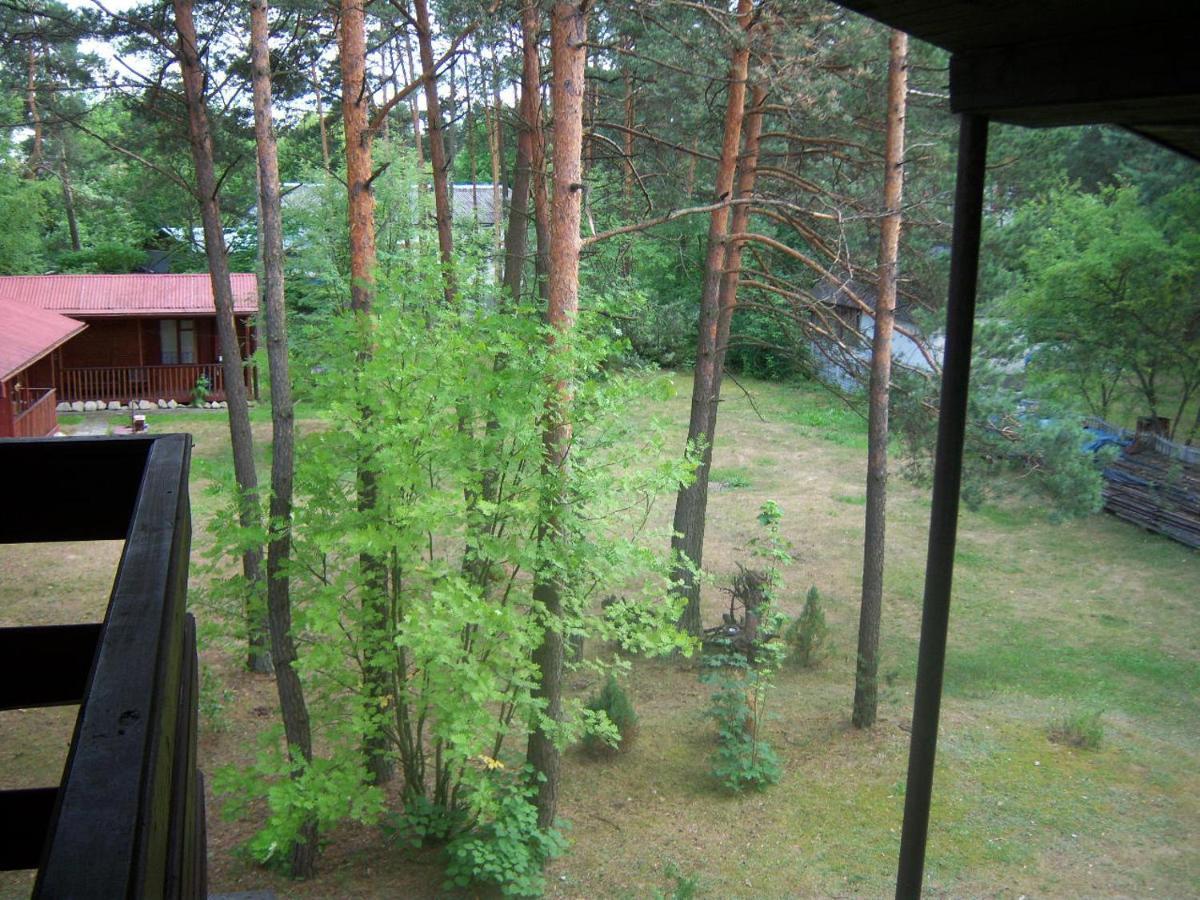 Forest Villa Susiec Екстериор снимка