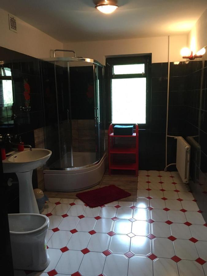 Forest Villa Susiec Екстериор снимка