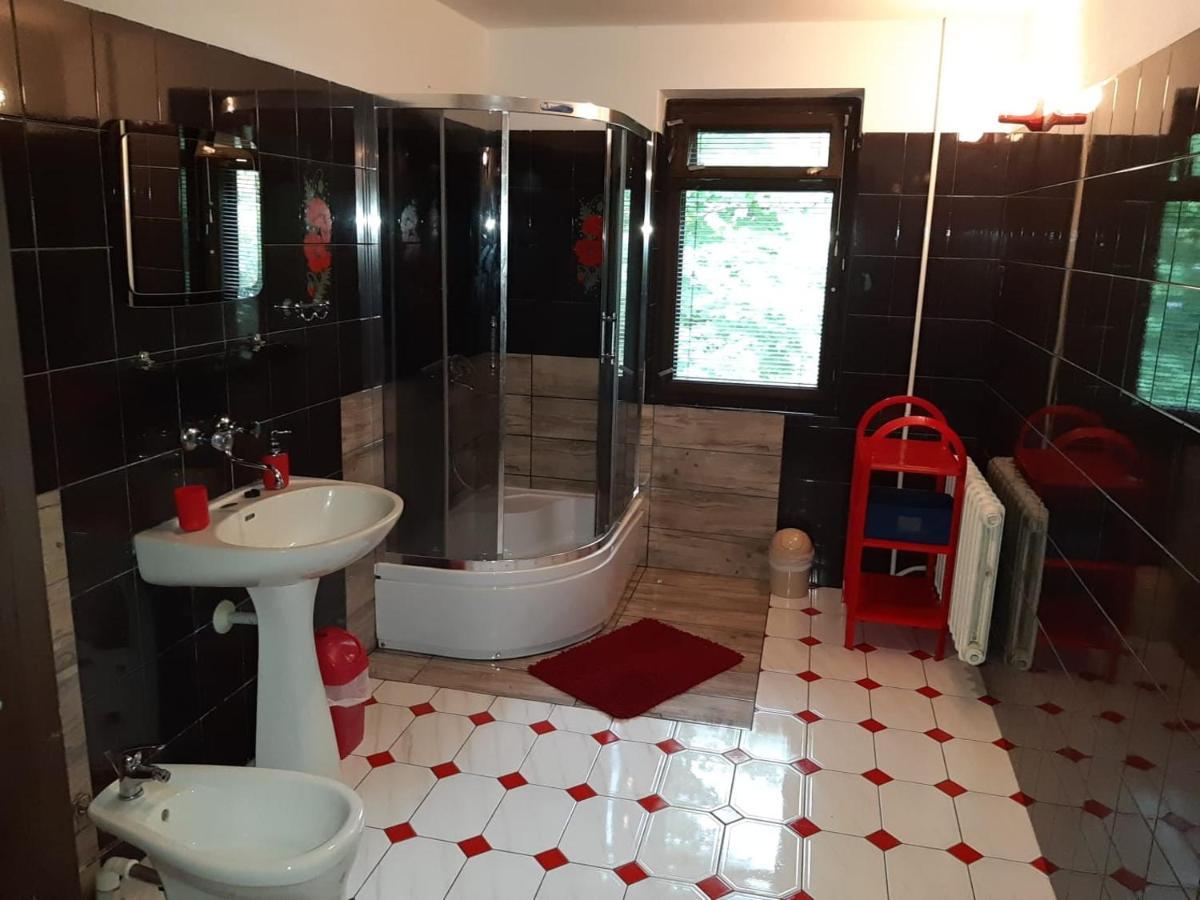 Forest Villa Susiec Екстериор снимка